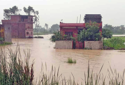 पहिले पानी नभएर रोपाइँ रोकियो, अहिले बाढी बस्तीमा पस्दा घरहरू डुबे